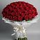 Букет 101 Красная роза Блэк Мэджик в Судже