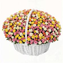 Премиум букет из: Розы в Судже