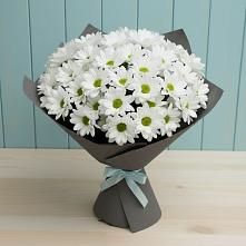 Букет цветов из:  Хризантемы #REPLACE_PRED# Судже