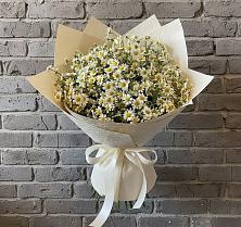 Букет цветов из:  Ромашки в Судже