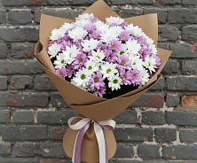 Букет цветов из:  Хризантемы в Судже