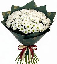 Букет цветов из:  Хризантемы в Судже