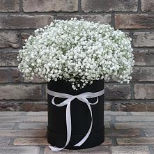 Цветочная композиция из Гипсофила в шляпной коробке #REPLACE_PRED# Судже