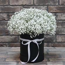 Цветочная композиция из Гипсофила в шляпной коробке в Судже