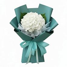Букет цветов из:  Гортензия в Судже